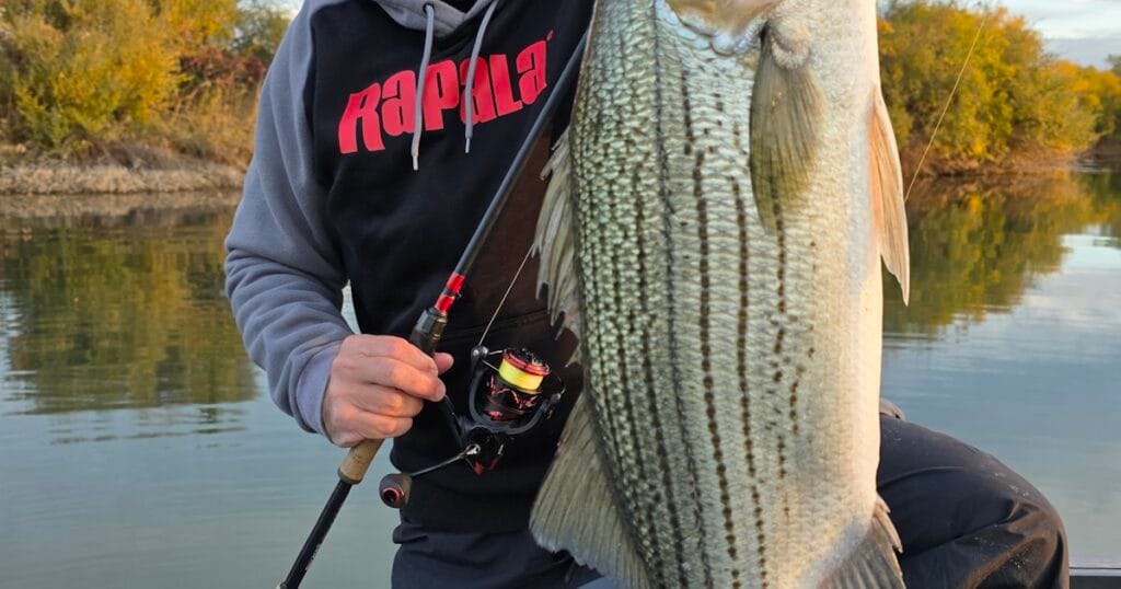 The 6 Best Bass Lures for <a href=