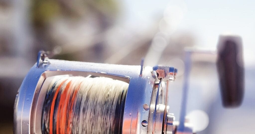 Best Fishing Line for Bass: Fluorocarbon, Braid, or Mono?