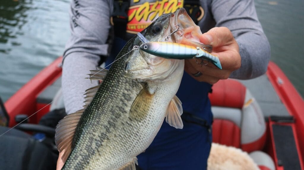 Bass fishing lures for clear water conditions