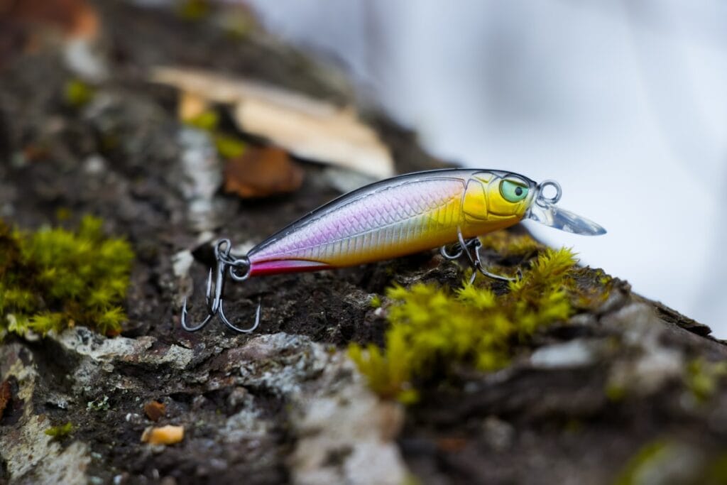Fishing a jig lure for bass along the bottom