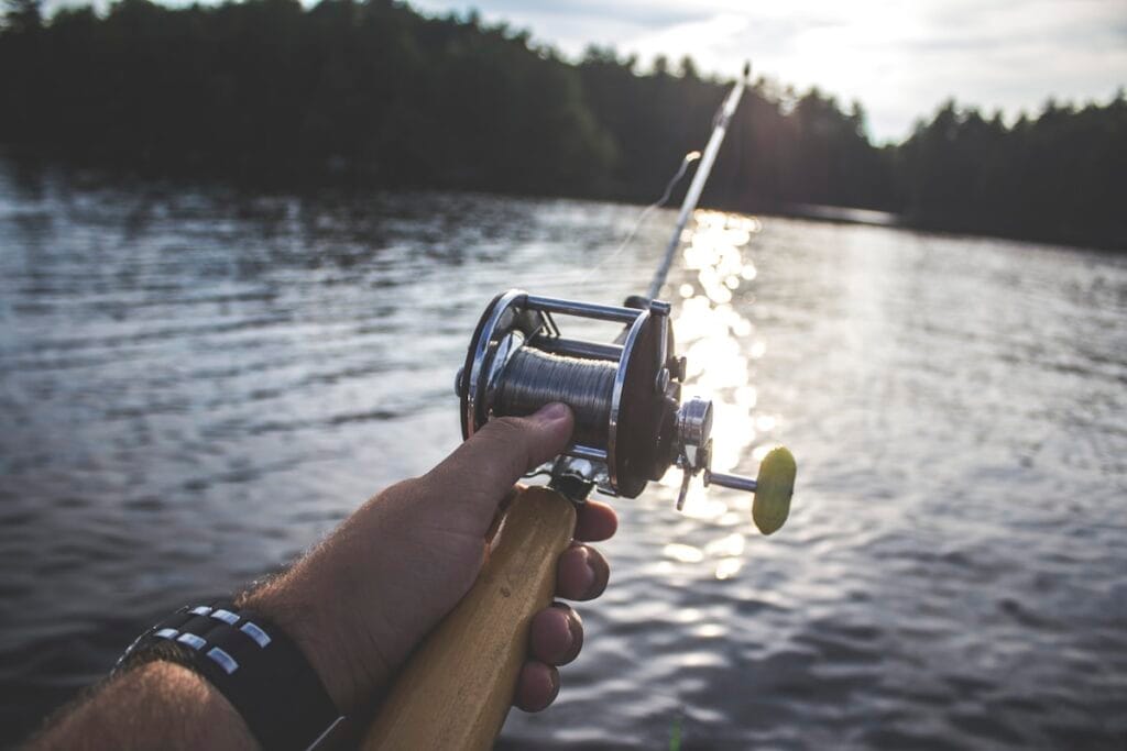 Summer bass fishing on a clear lake