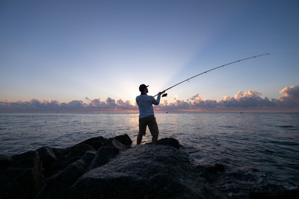 Best topwater lures for bass including frogs walkers and poppers