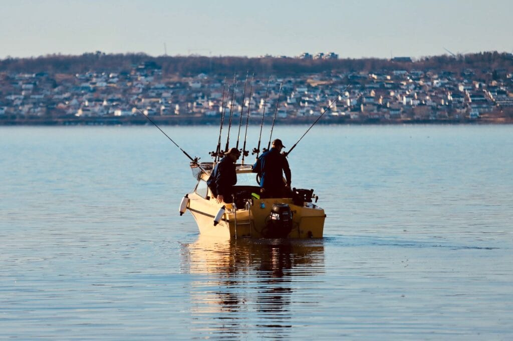 Anglers fishing from the bank of a lake