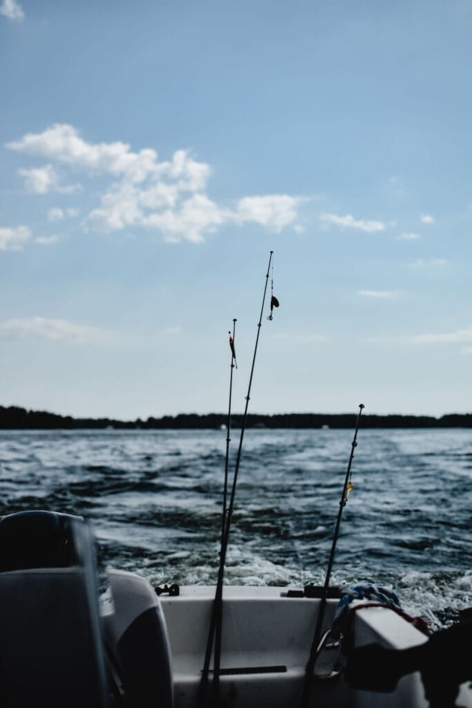 Fishing rods rigged on a boat