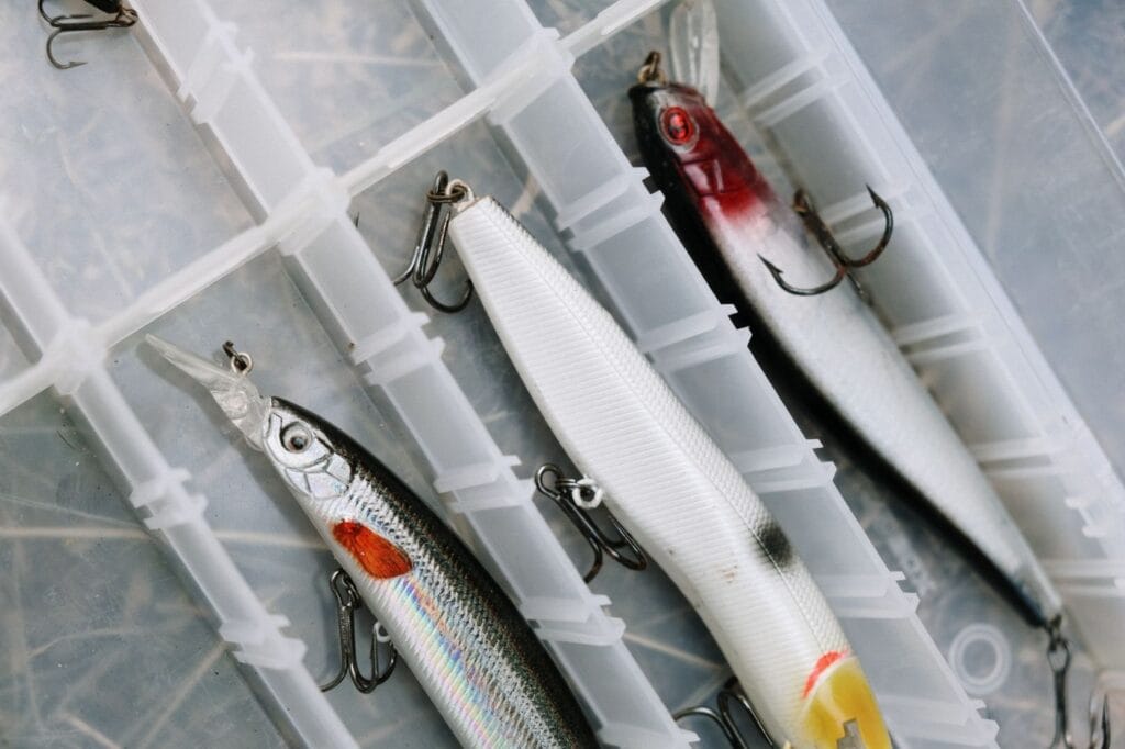 Fishing lures organized in a tackle box