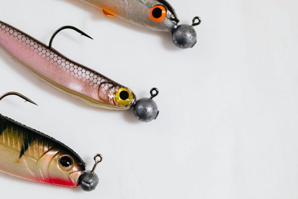 Soft plastic fishing lures for bass